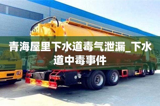 成都青海屋里下水道毒氣泄漏_下水道中毒事件