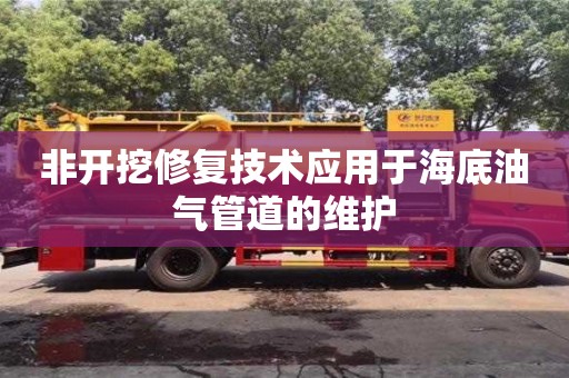 杭州非開挖修復(fù)技術(shù)應(yīng)用于海底油氣管道的維護(hù)
