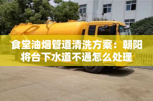 杭州食堂油煙管道清洗方案：朝陽(yáng)將臺(tái)下水道不通怎么處理