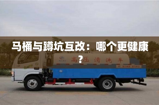 北京馬桶與蹲坑互改：哪個更健康？