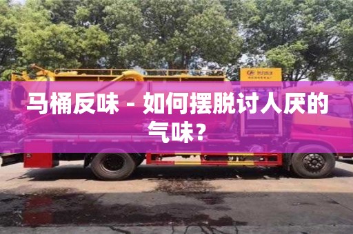 馬桶反味 - 如何擺脫討人厭的氣味？