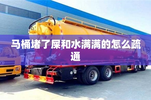 石家莊馬桶堵了屎和水滿滿的怎么疏通