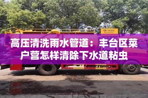 北京高壓清洗雨水管道：豐臺區(qū)菜戶營怎樣清除下水道粘蟲
