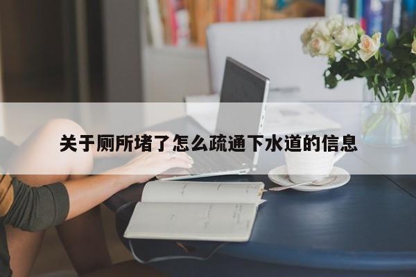 北京關于廁所堵了怎么疏通下水道的信息